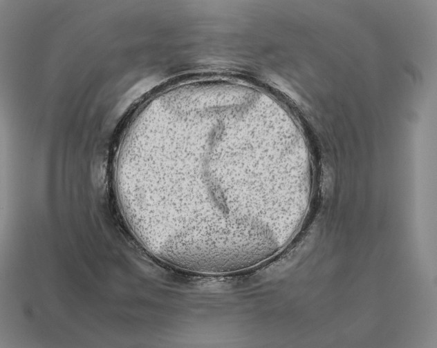 X0000113261259200910011400