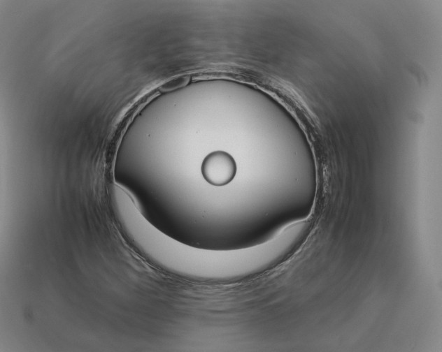 X0000113261260200910011400