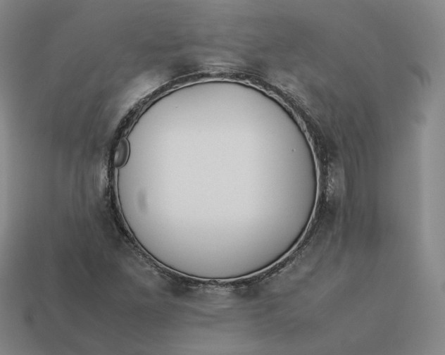 X0000113261261200910011400