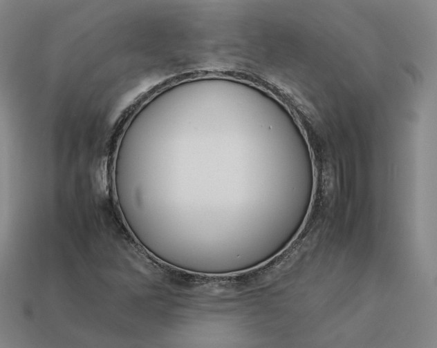 X0000113261262200910011400