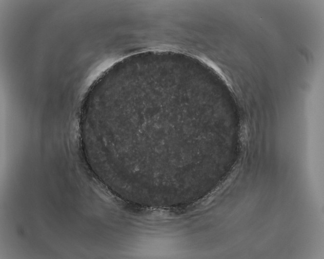 X0000113261263200910011400