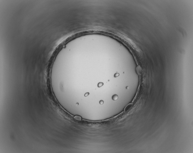 X0000113261264200910011400