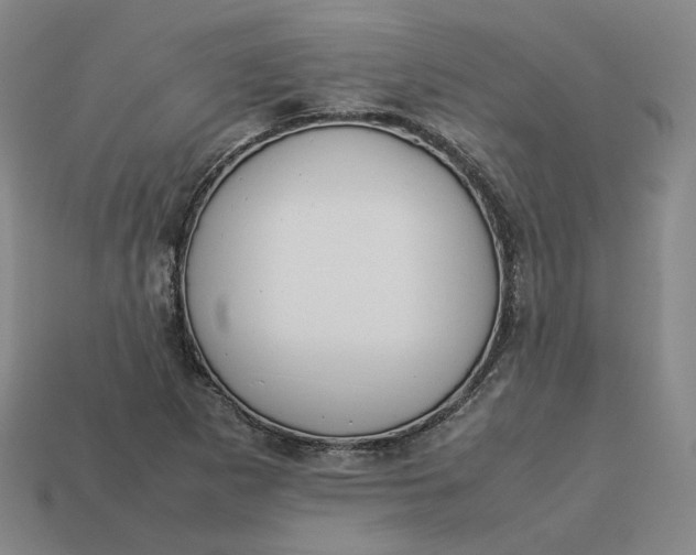 X0000113261265200910011400