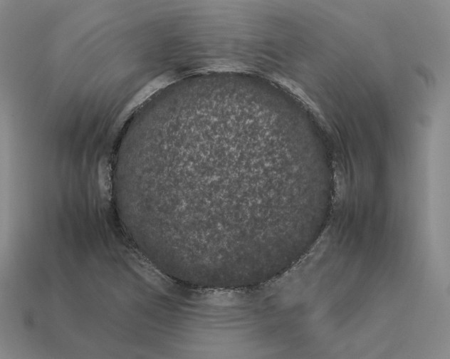 X0000113261266200910011400