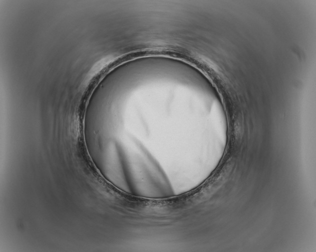 X0000113261267200910011400