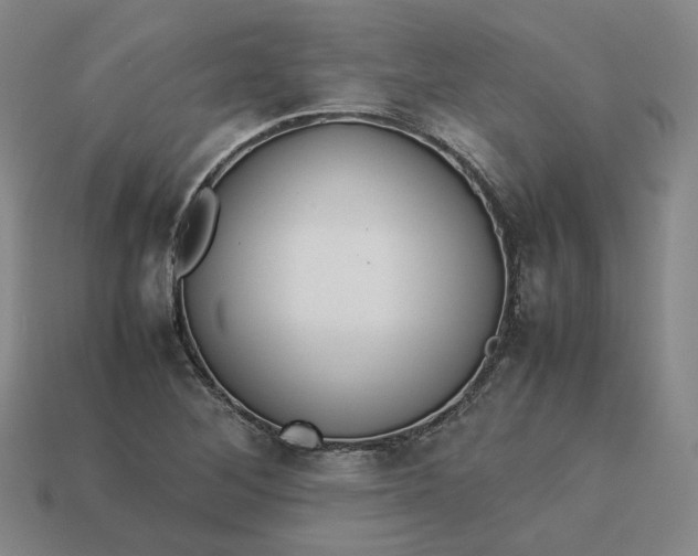 X0000113261268200910011400