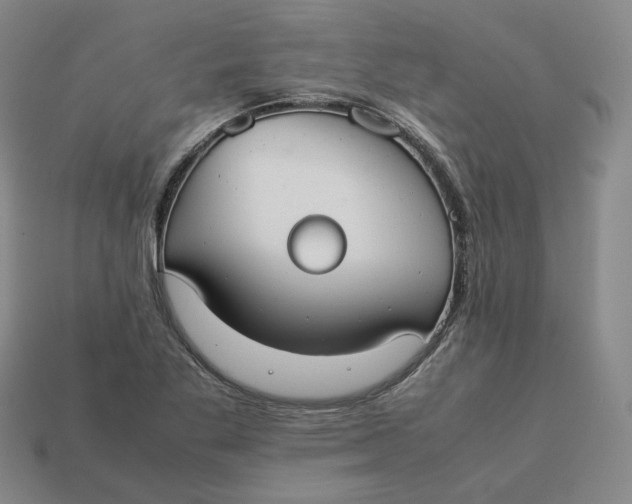 X0000113261269200910011400