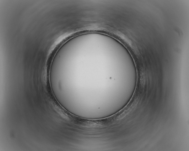 X0000113261270200910011400