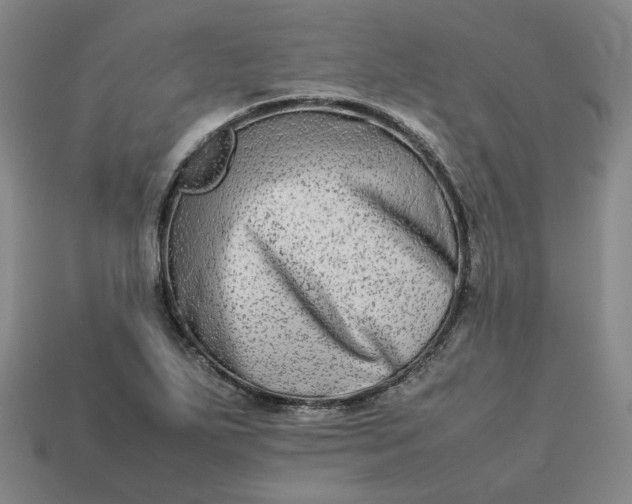 X0000113261271200910011359