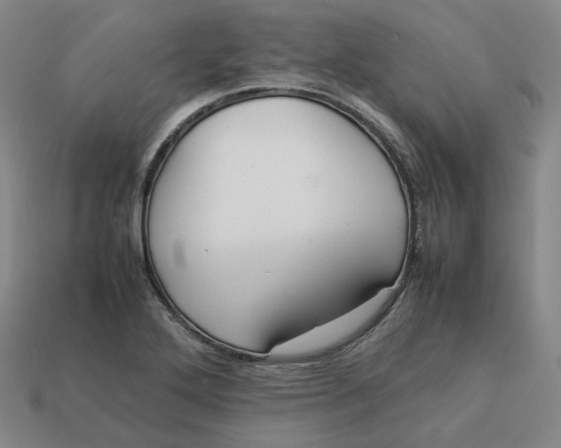 X0000113261272200910011359