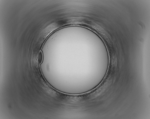 X0000113261273200910011359