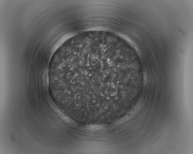 X0000113261274200910011359