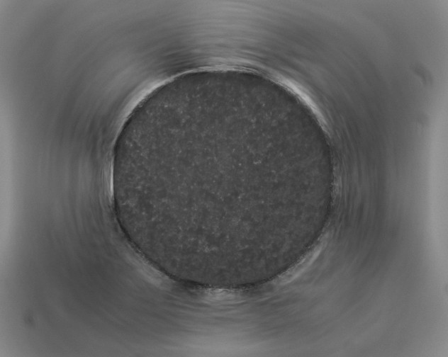 X0000113261275200910011359