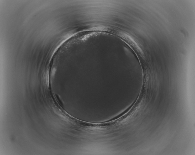 X0000113261276200910011359