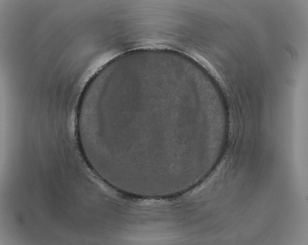 X0000113261277200910011359