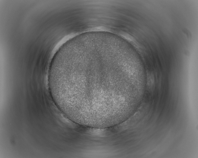 X0000113261278200910011359