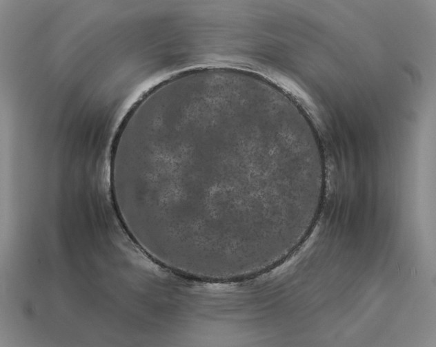 X0000113261280200910011359