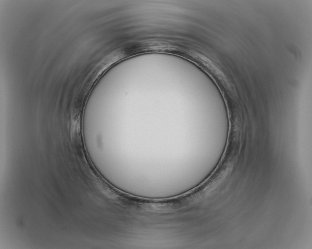 X0000113261281200910011359