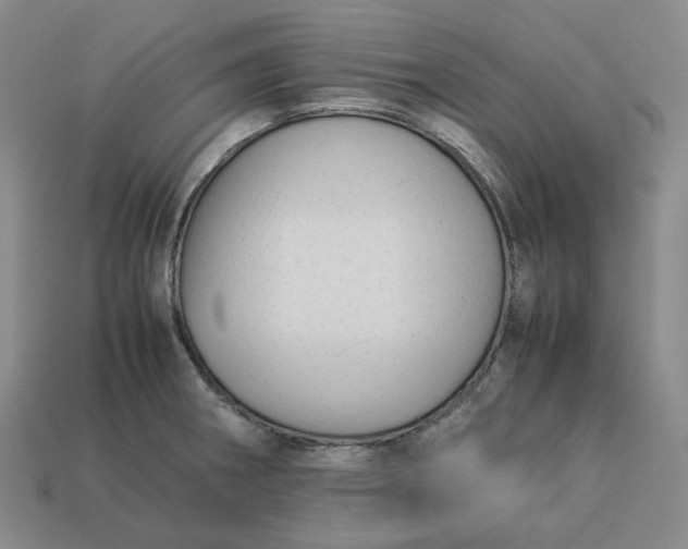 X0000113261282200910011359