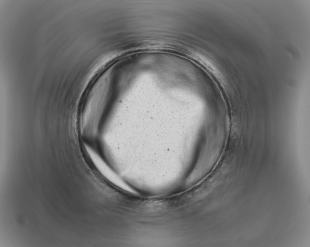 X0000113261283200910011359