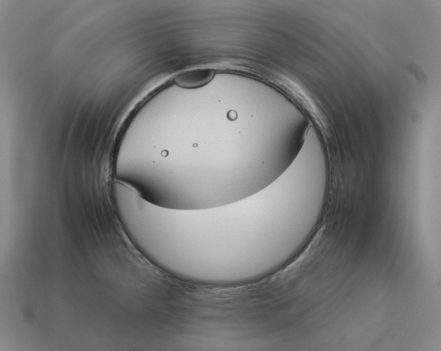 X0000113261284200910011359