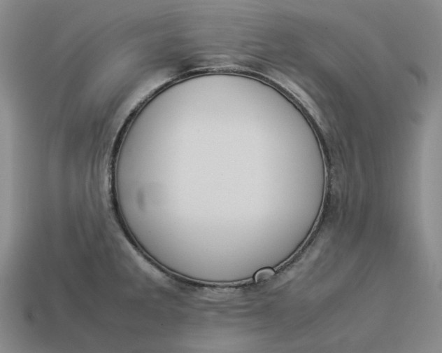 X0000113261285200910011359