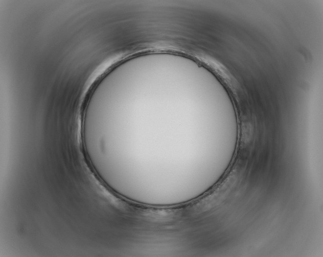 X0000113261286200910011359