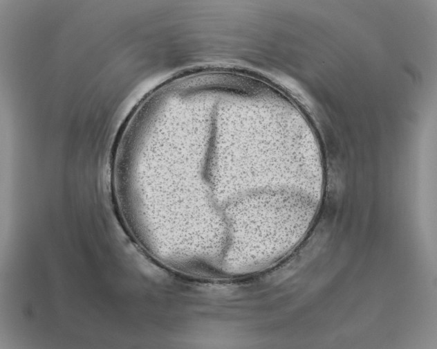 X0000113261287200910011359