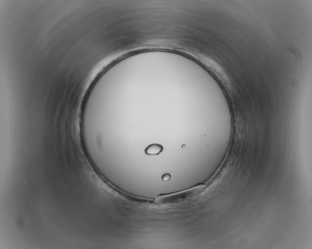 X0000113261288200910011359