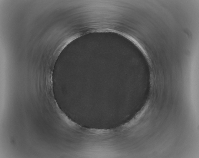 X0000113261289200910011359