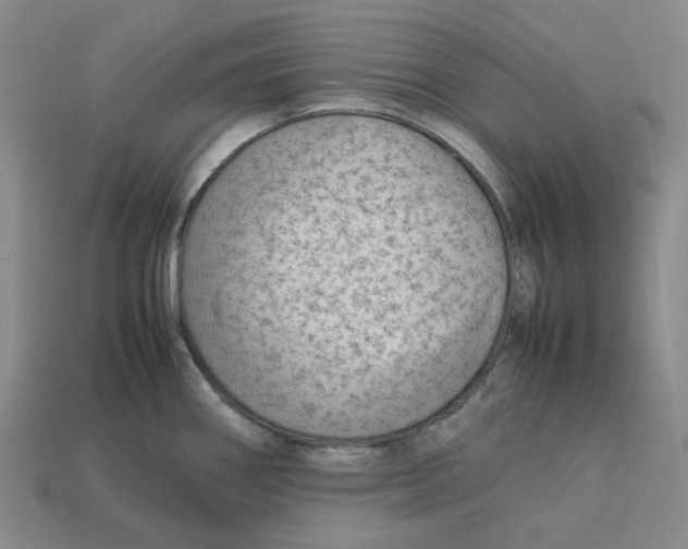 X0000113261290200910011359