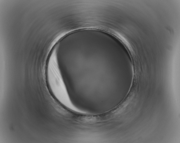 X0000113261291200910011359