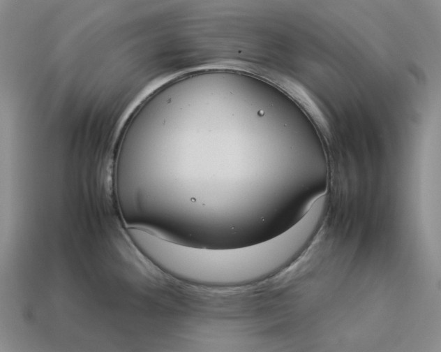 X0000113261292200910011359