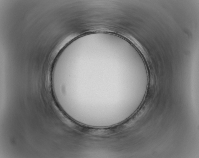 X0000113261293200910011359