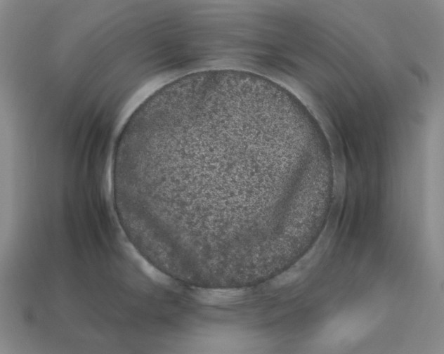 X0000113261294200910011359