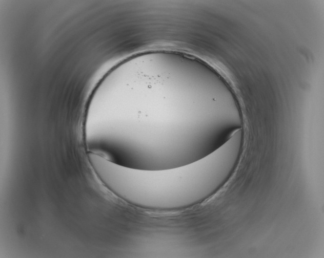 X0000113261296200910011359