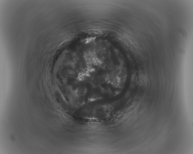 X0000113261297200910011359