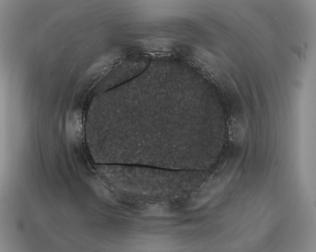 X0000113261298200910011359