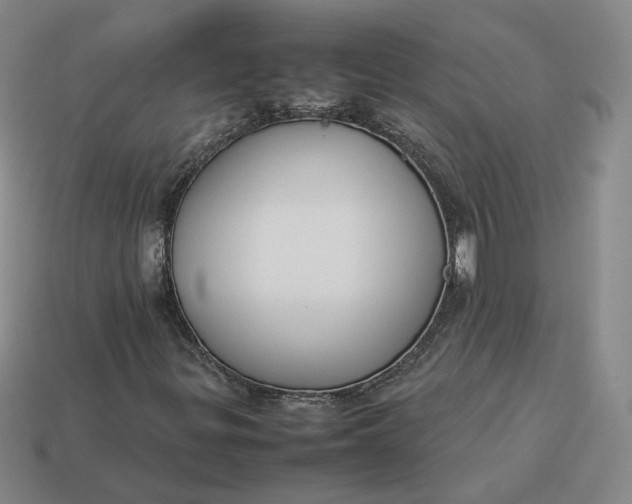 X0000113261299200910011359