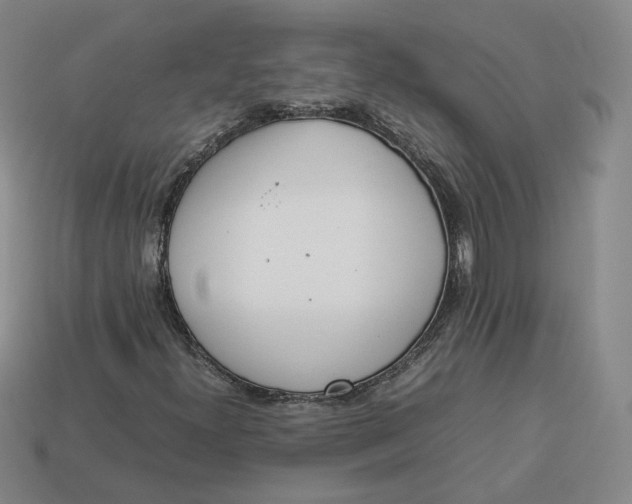 X0000113261300200910011359