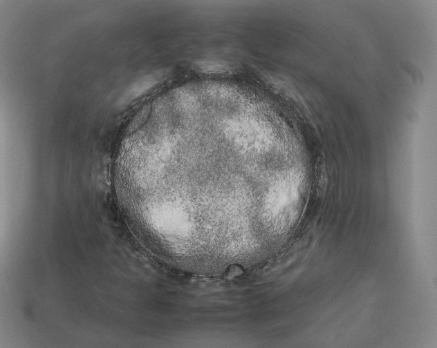 X0000113261301200910011359