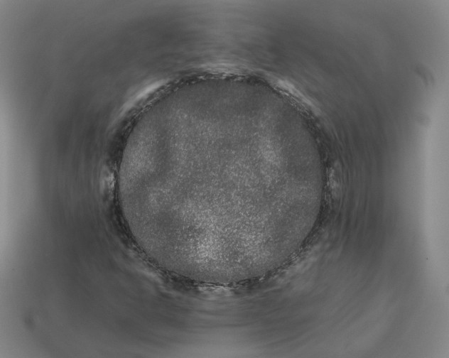 X0000113261302200910011359