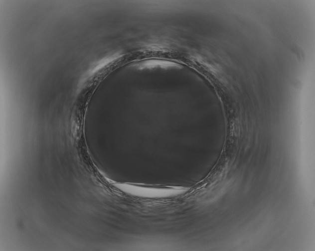 X0000113261303200910011359