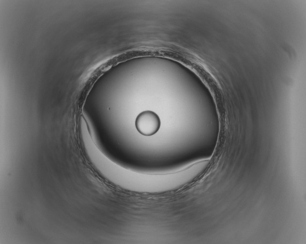 X0000113261304200910011359