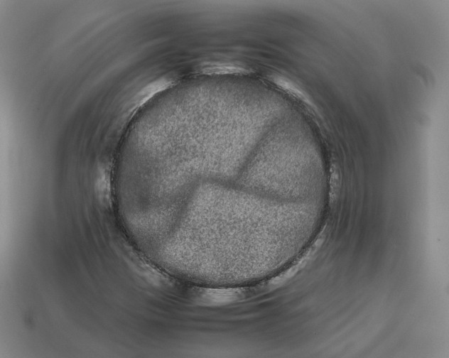 X0000113261305200910011359