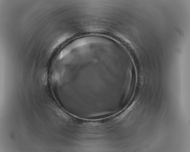 X0000113261306200910011359