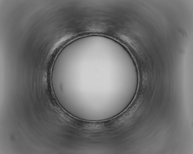 X0000113261307200910011359