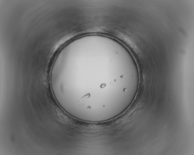 X0000113261308200910011359