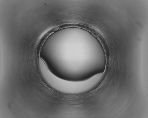 X0000113261310200910011359