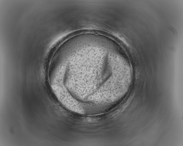 X0000113261311200910011359